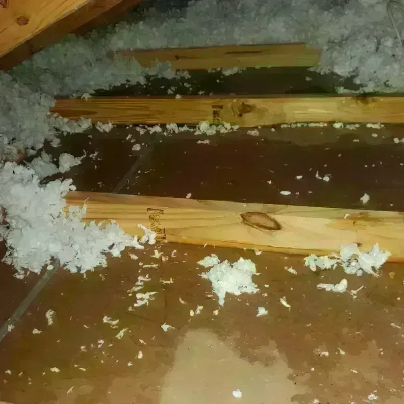 Attic Water Damage in Saint Paul, NE