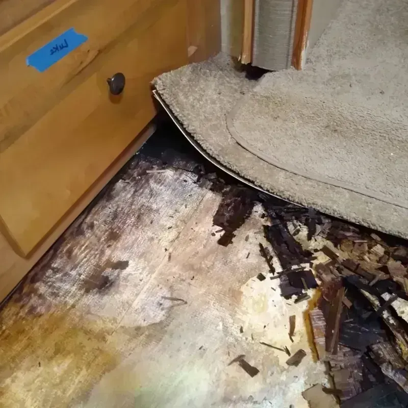 Wood Floor Water Damage in Saint Paul, NE